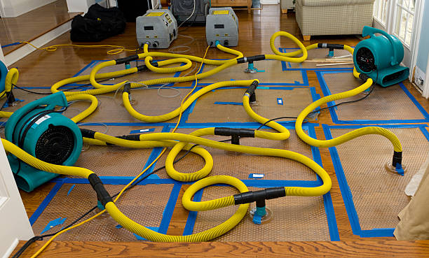 Professional Structural Drying And Dehumidification technician working in Manchester, WA